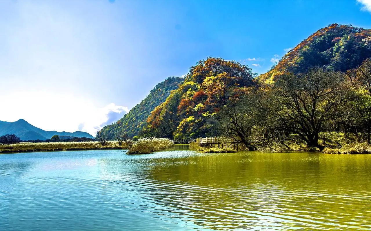 节能高效高效